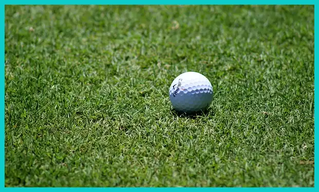 골프 스윙 동영상 추천