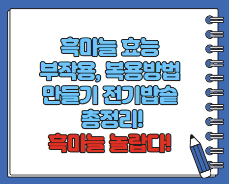 흑마늘 효능 만들기 전기밥솥 복용방법 보관방법 총정리(최신)