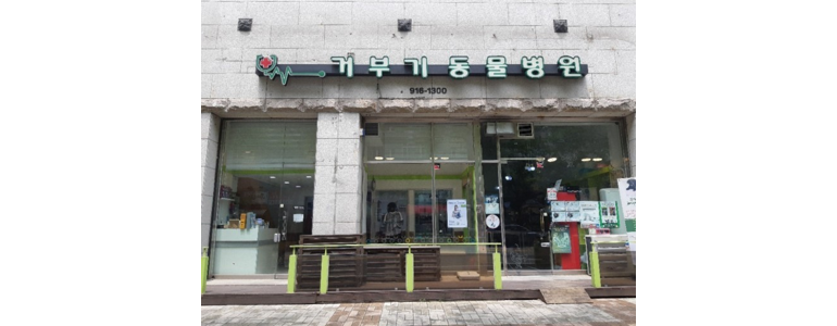 고양 일산동구 동물병원