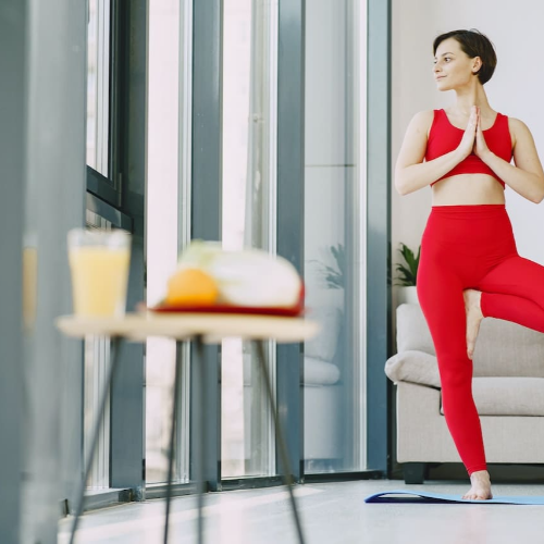 다이어트 식단 과 운동관리