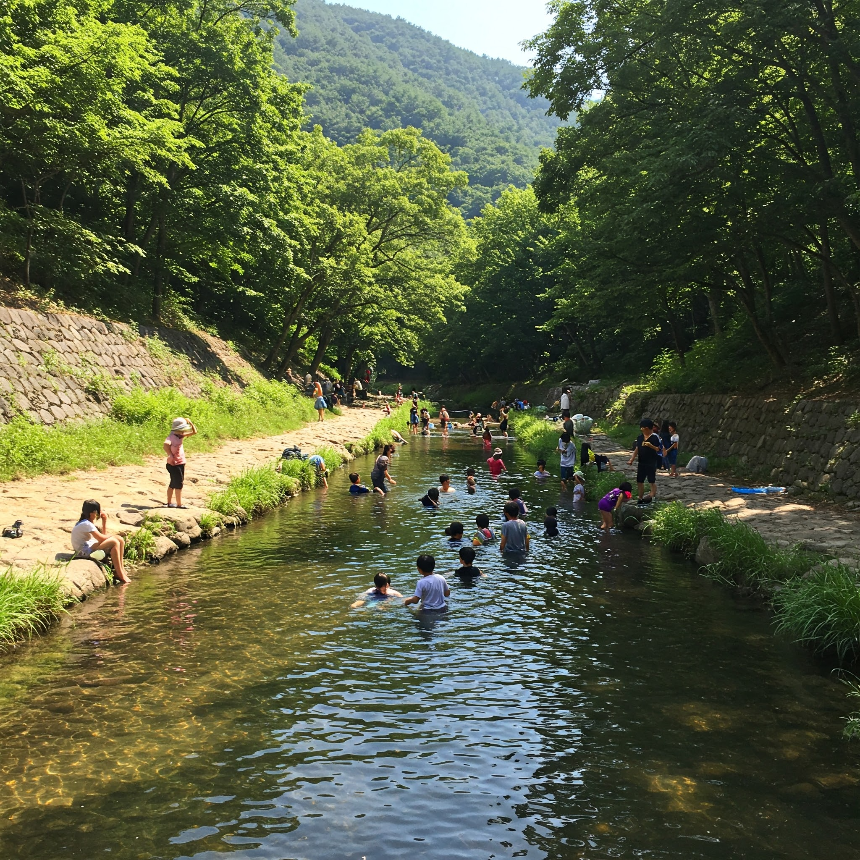 계절의 변화를 세분화한 24 절기 중 '소서' 이해하기