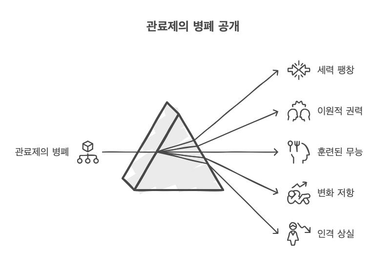 관료제-주요병폐
