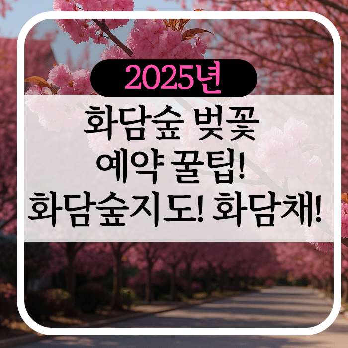 화담숲벚꽃예약꿀팁화담숲지도화담채