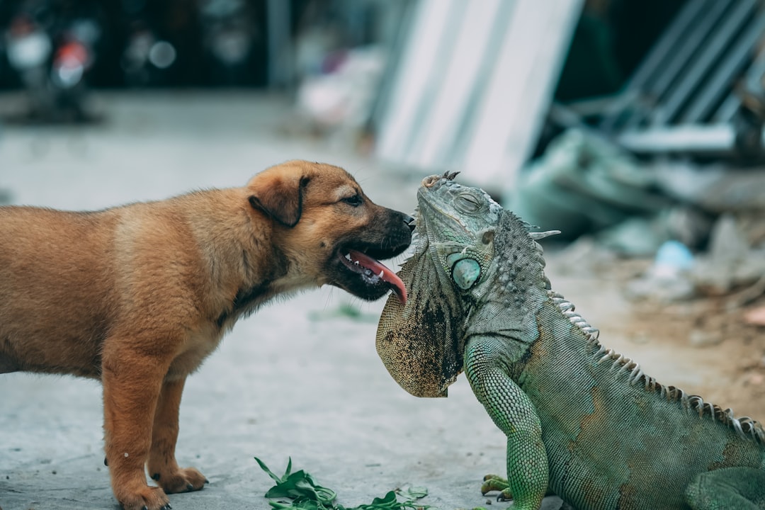 First Kiss