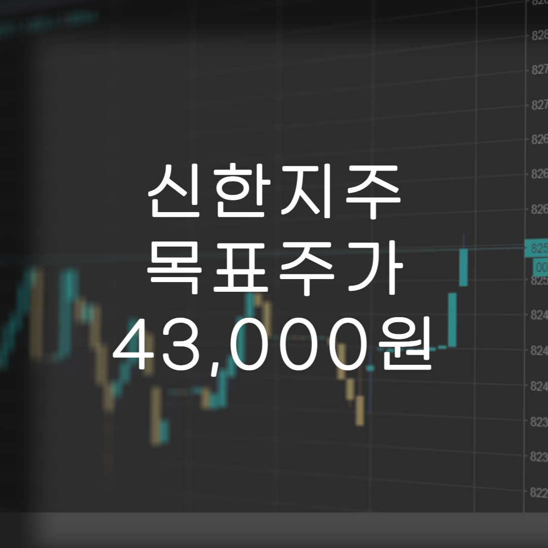 주식-신한지주
