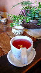 오미자차효능베스트7