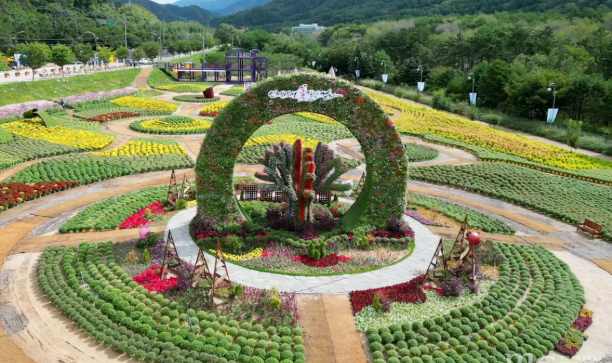 호법꽃축제 탐방기: 가족 나들이부터 연인 데이트 코스까지