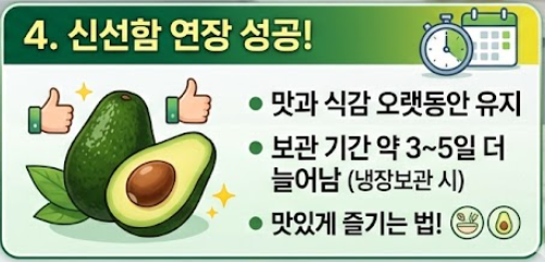 아보카도 보관법