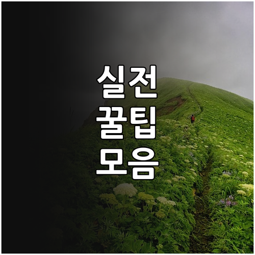 2025 임산물 수출 지원사업 대상 ..