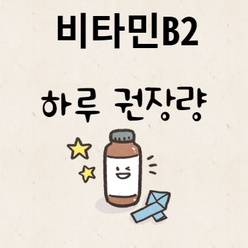 비타민B2 하루 권장량