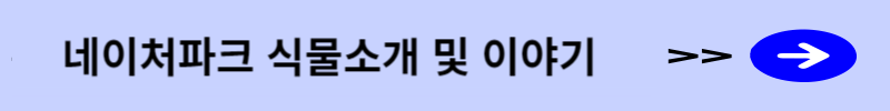 식물소개