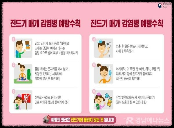 가을철 진드기 감염병 주의보: 예방 방법과 대처 요령
