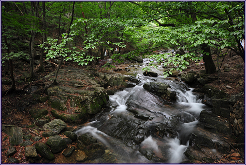대전 근교 계곡 추천｜동학사 계곡, 여름 힐링 여행지