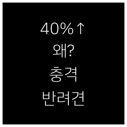 반려견 보험 갱신 시 보험료 40% ..