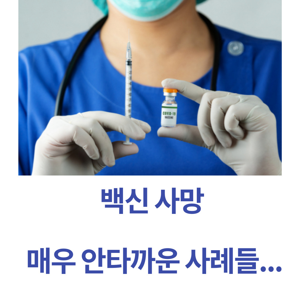백신사망/