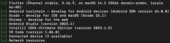 flutter doctor 실행 모습이다.