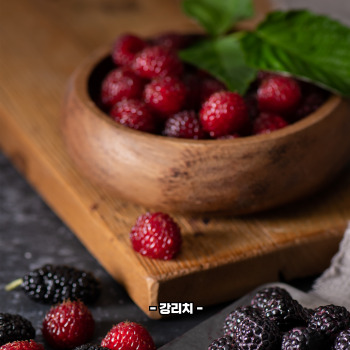 복분자 재배방법