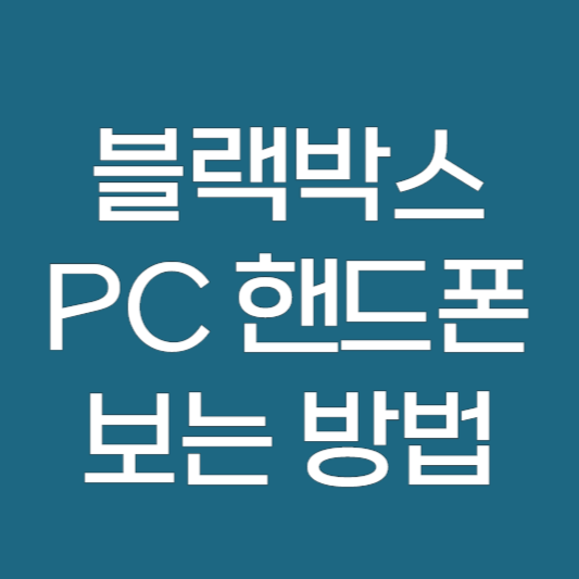블랙박스 영상 PC 및 핸드폰에서 보는 방법 ❘ 블박영상 보는법
