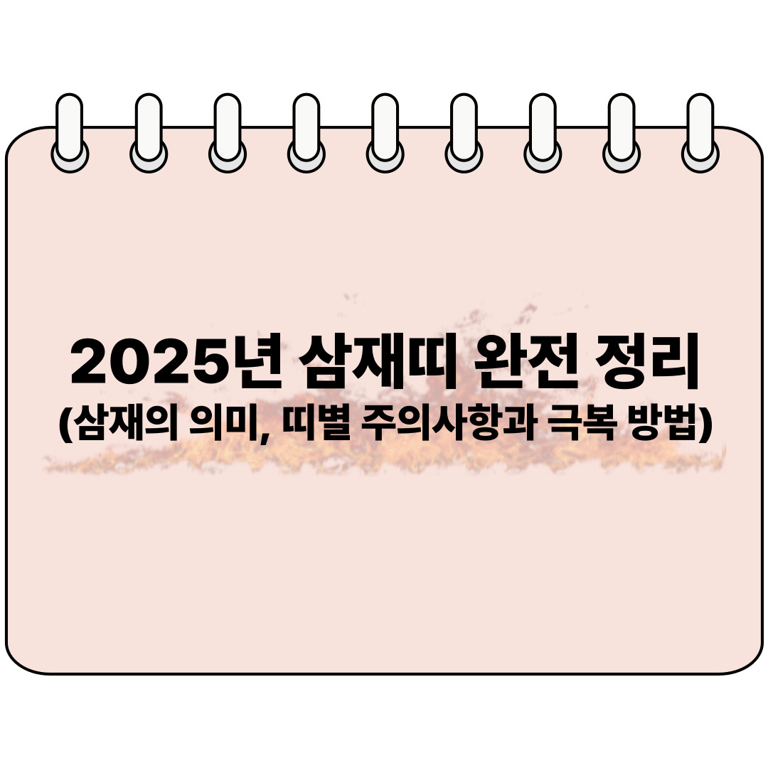 2025 삼재띠 완정 정리 포스터 이미지