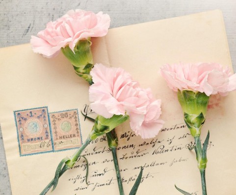 스승의 날 선물 문구 유래 노래 행사 감사 이벤트는?