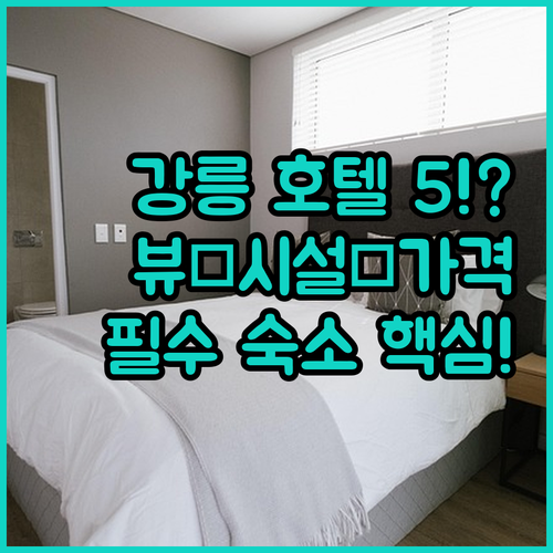 강릉 호텔 숙소 베스트 5 뷰 시설 ..