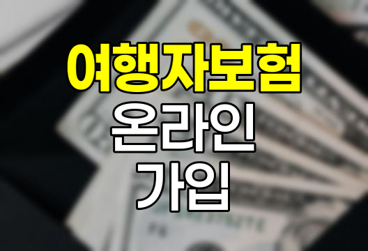 여행자보험 온라인 가입 추천 플랫폼