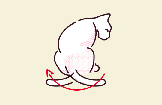 고양이가 꼬리를 크고 천천히 흔드는 일러스트