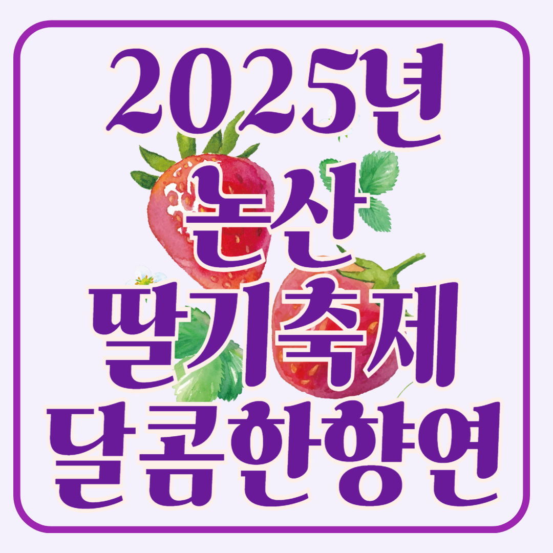 2025년 논산딸기축제 달콤한 향연에 빠져보세요!