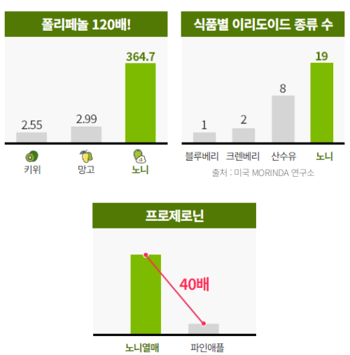 노니에 포함된 유효성분