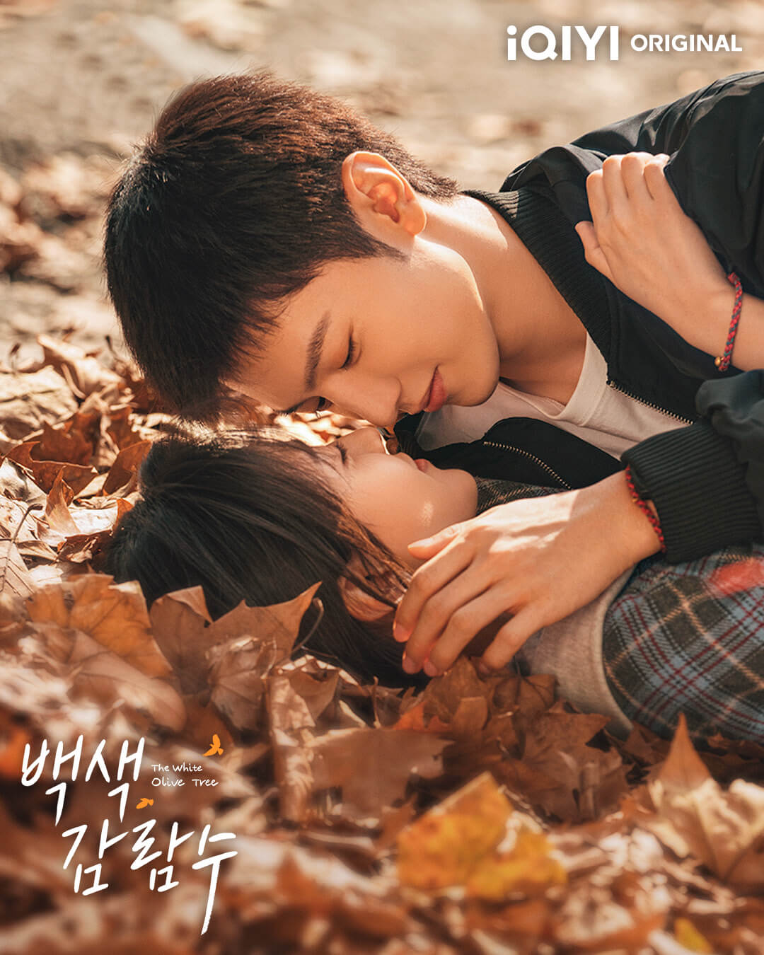 중드 백색감람수