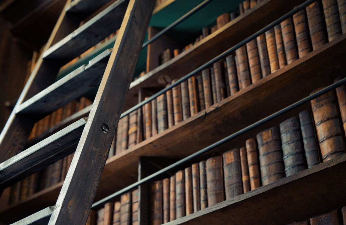 독일 문학 번역가 인터뷰 모음 or 기획