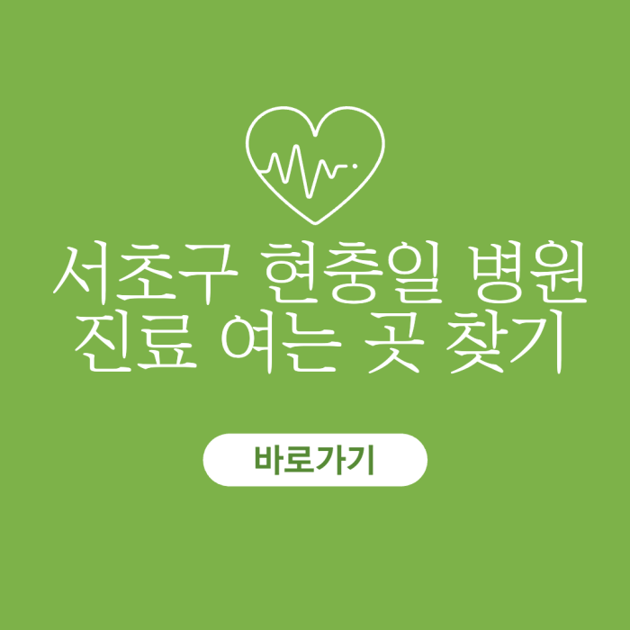 서초구-현충일-병원-진료-여는-곳-찾기