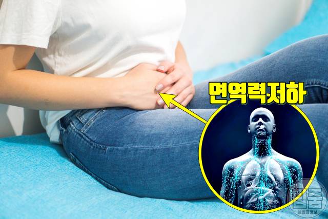 질염 증상,생식기가려움증,질유산균