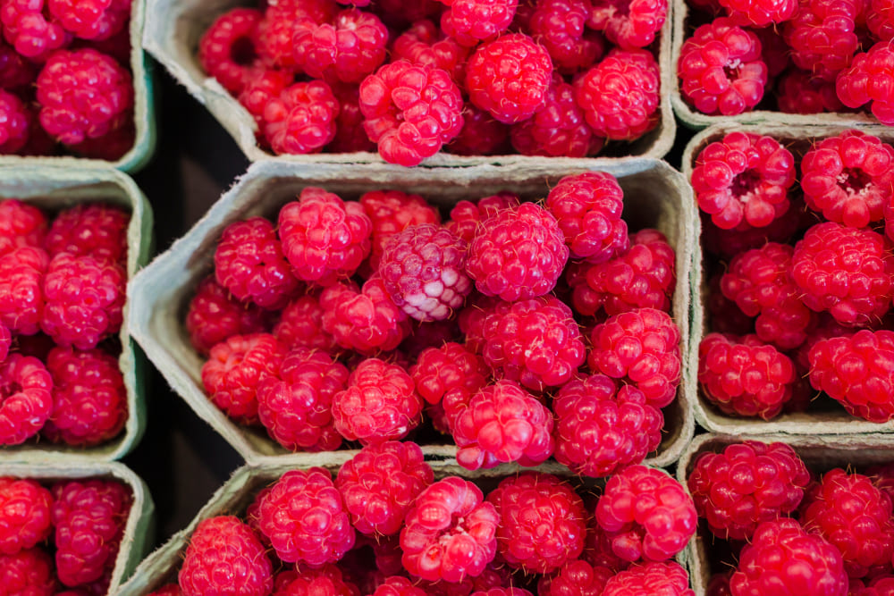 베리류들은 몸안에 활성산소를 제거해준다.