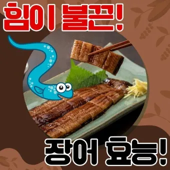 장어 효능 장어와 상극인 음식 건강 상식_20