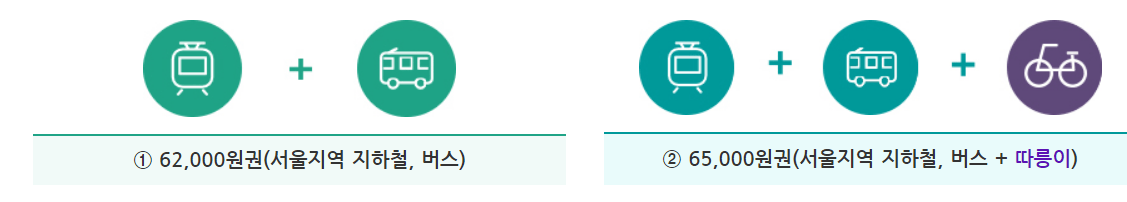 기후동행카드 가격