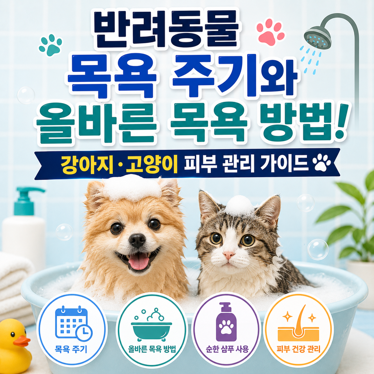 반려동물 목욕 주기와 올바른 목욕 방법