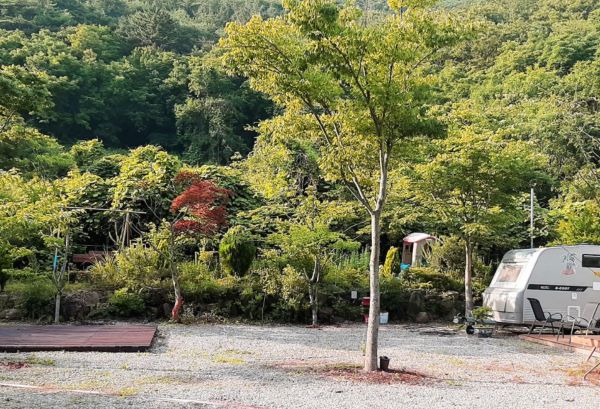 캠핑스토리-캠핑장내부