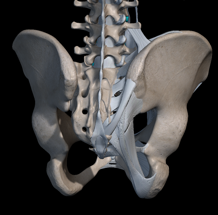 꼬리뼈 통증 원인 치료법 총정리