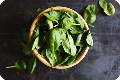 바질 효능 섭취 시 주의사항