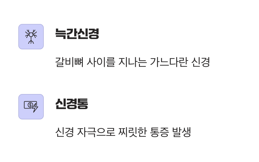 우리 갈비뼈 사이의 전기선&amp;#44; 늑간신경