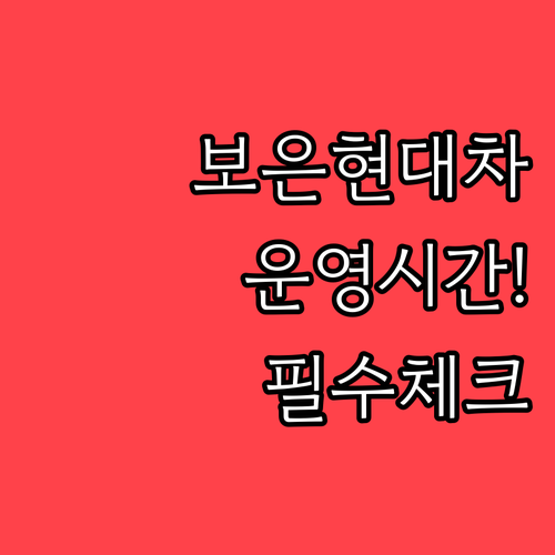보은 현대자동차 블루핸즈 운영 시간과..