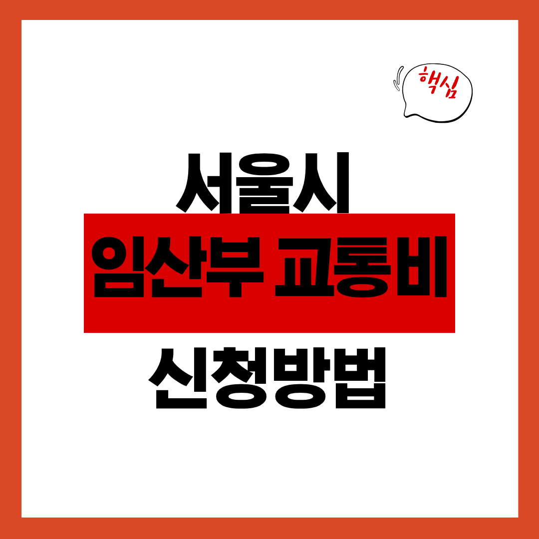 서울시 임산부 교통비 신청방법 및 지원금 확인하고 신청하기