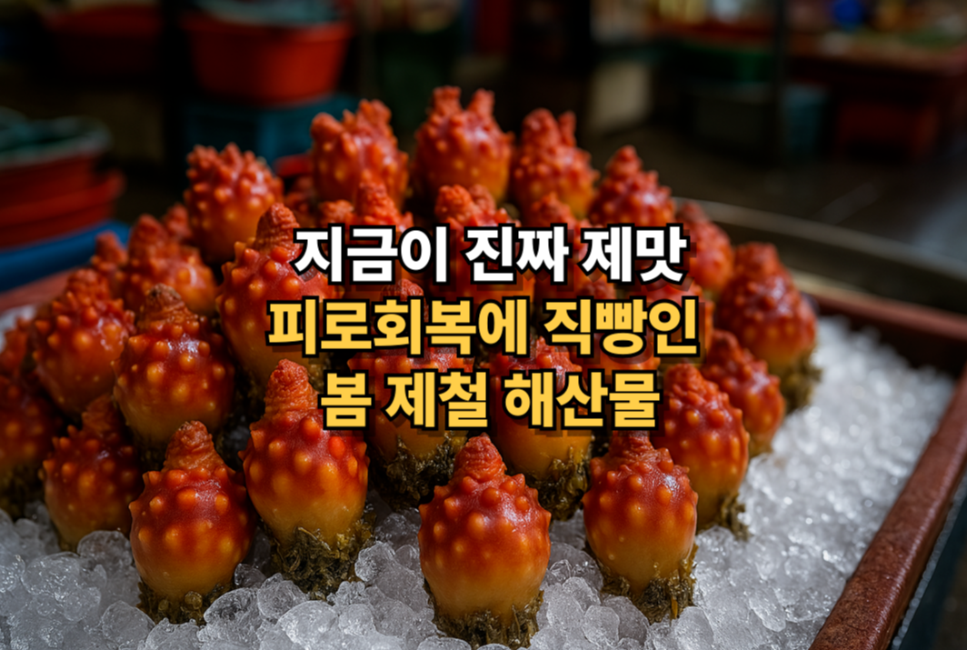 싱싱한 멍게가 얼음 위에 진열된 시장 풍경, 봄 제철 해산물의 신선함 강조
