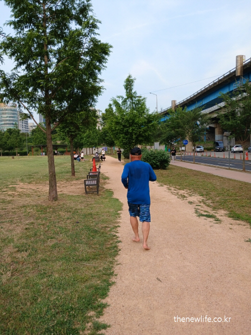 A middle-aged man jogging barefoot on a park trail, symbolizing strong cardiovascular health and natural fitness-공원 흙길에서 맨발로 조깅 중인 중년 남성의 뒷모습. 자연 속에서 심폐 기능을 강화하며 건강을 실천하는 모습