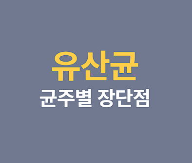 유산균 추천, 섭취방법, 유산균부작용, 유산균장단점