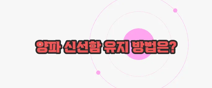 양파 보관법 가볍게 살펴볼까요