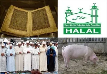 역사속의 미스터리 무슬림이 돼지고기 먹지 않는 이유_7