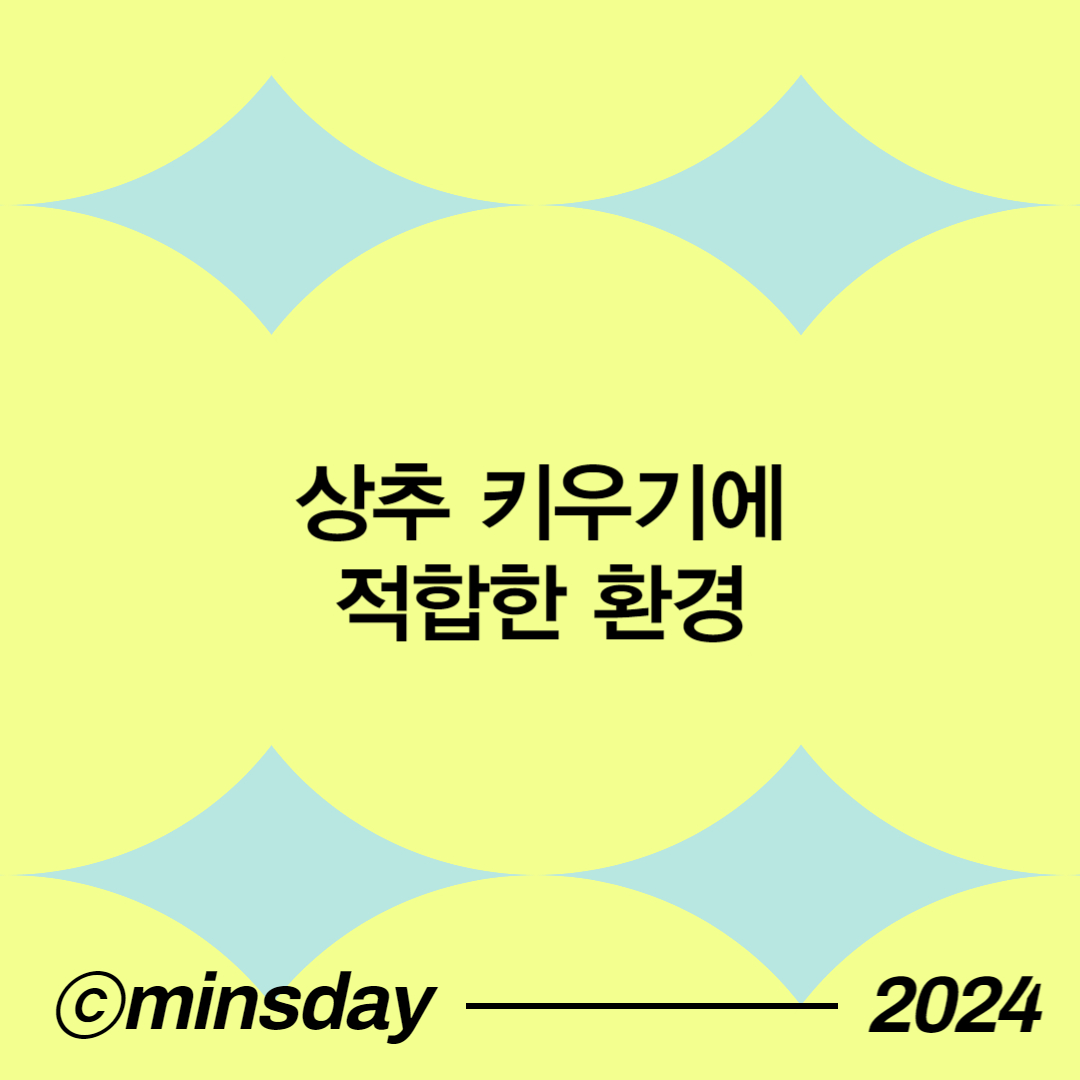 상추키우기