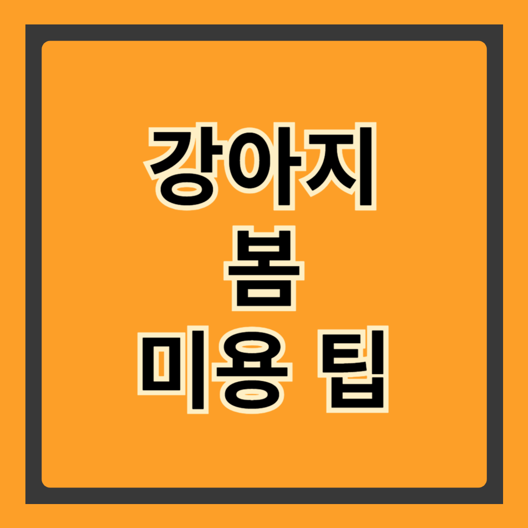 강아지 봄 미용 완벽 가이드 – 환절기 털 관리부터 스타일링까지